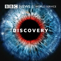 Discovery