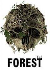 The Forest