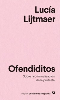 Ofendiditos: Sobre la criminalización de la protesta