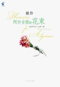 献给阿尔吉侬的花束 (2005)