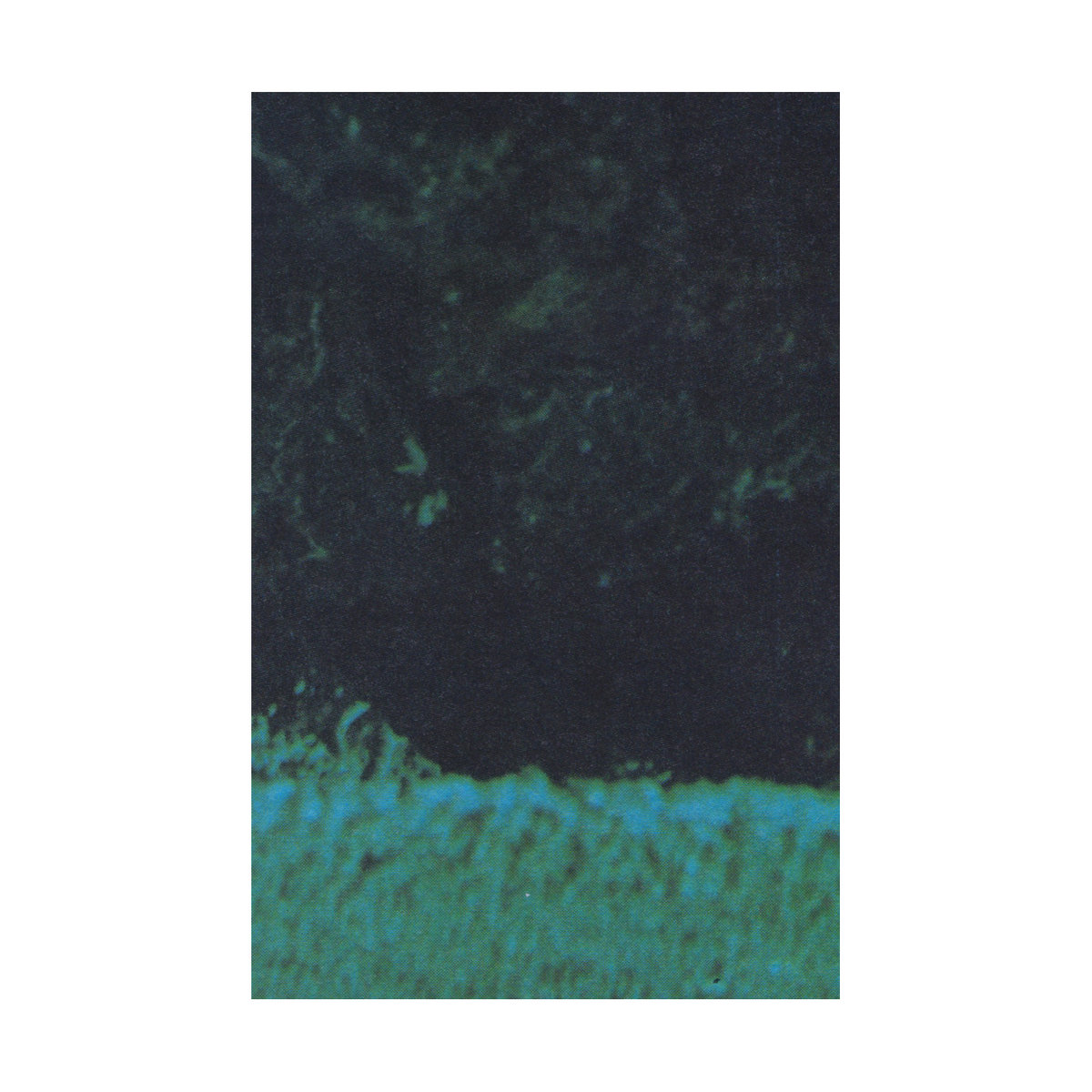 Nascent Dawn