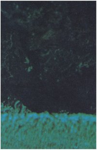 Nascent Dawn