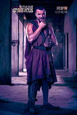 Spartacus: La Casa de Ashur (Spartacus: House Of Ashur)