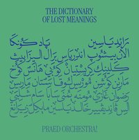 The Dictionary of Lost Meanings