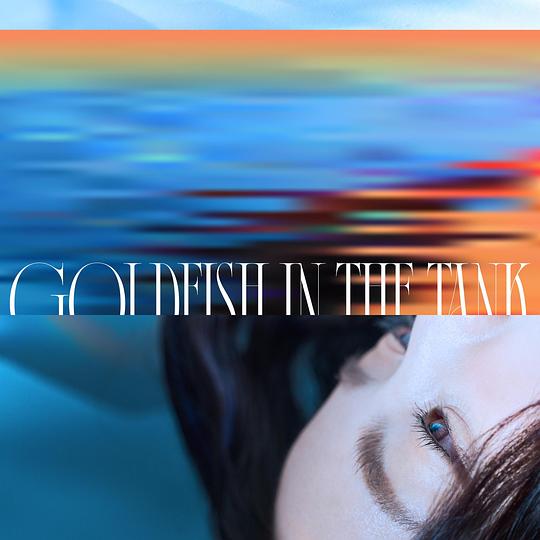 Goldfish in the Tank