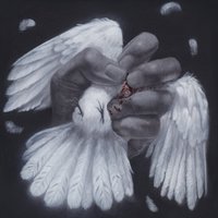 The Poacher Diaries Redux