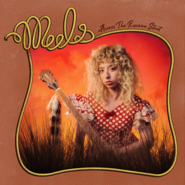 Across The Raccoon Strait