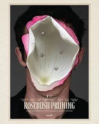 Pruning the Rosebush