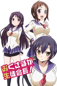 Okusama ga Seitokaichou!