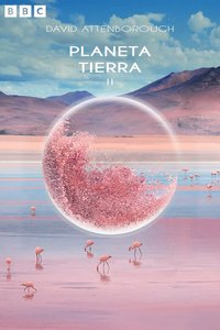 Planeta Tierra II