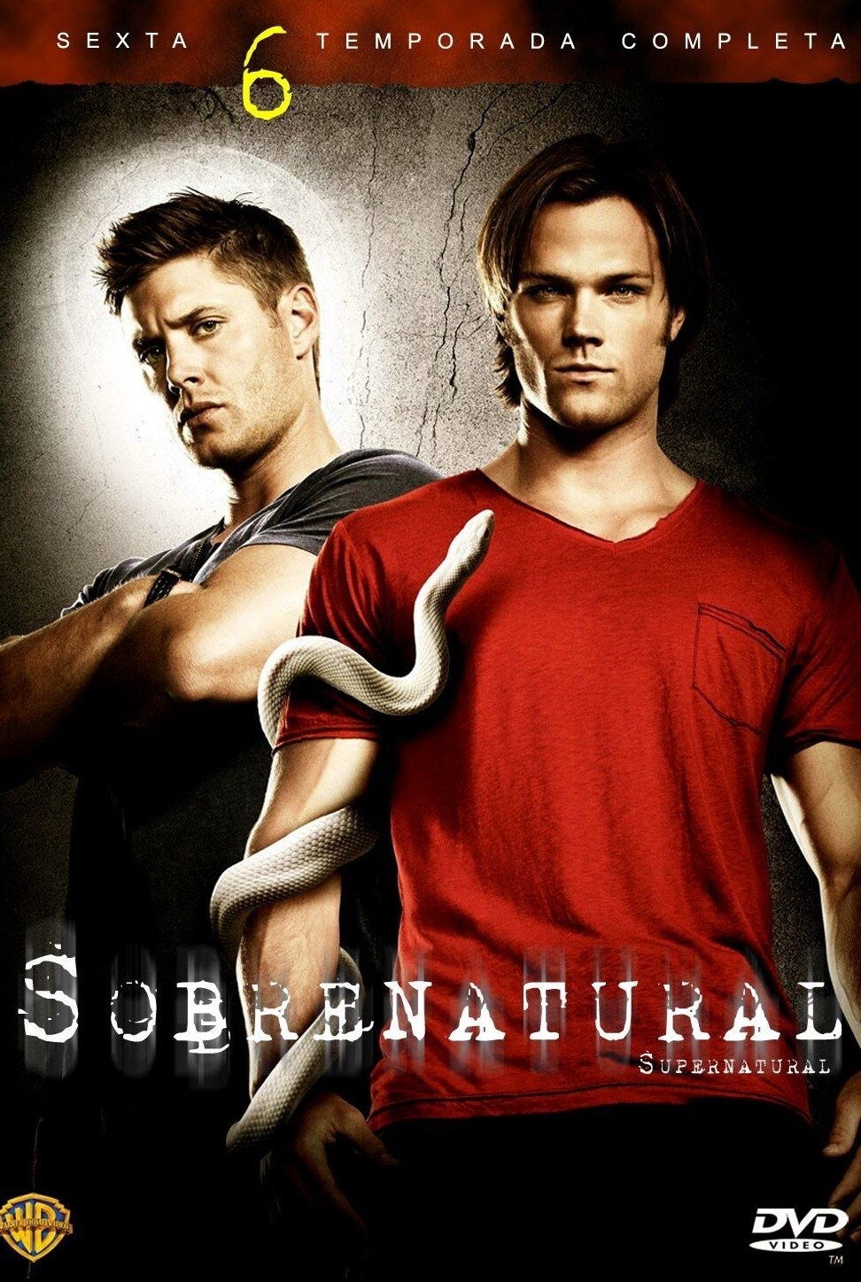 Supernatural Season 6